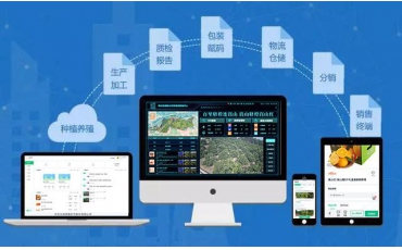 水果网红避雷指南，“橙”心“橙”意做溯源